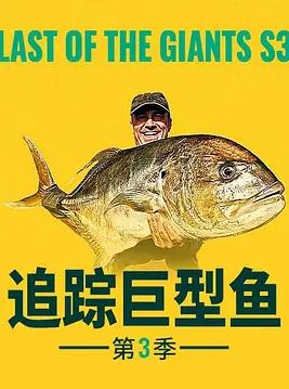 追踪巨型鱼第三季(全集)